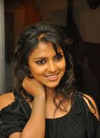 Amala Paul New Stills